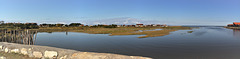 Cycling from Bordeaux Vineyards to the Atlantic Coast /Salt marshes Bassin d'Arcachon