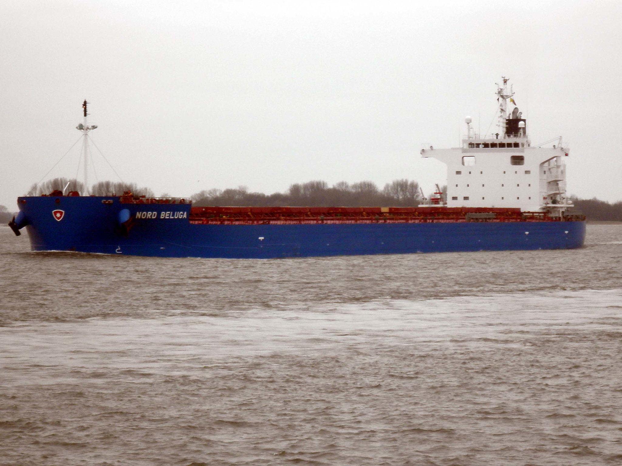 Nord Beluga