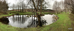 The pond is my giant mirror