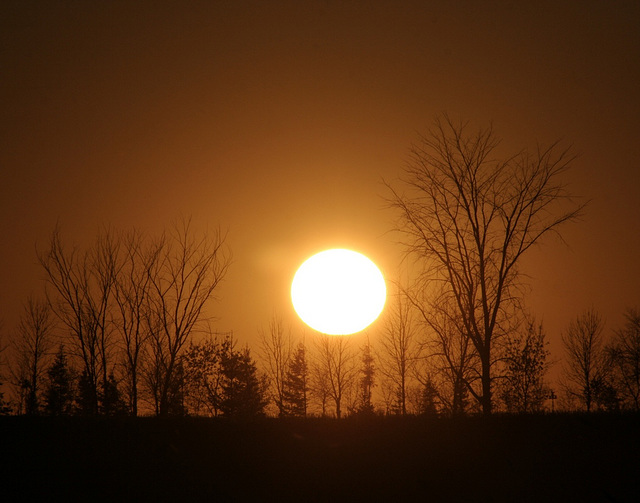 november sun / soleil de novembre november sun / soleil de novembre