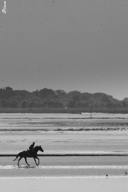 En baie de Somme