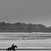 En baie de Somme