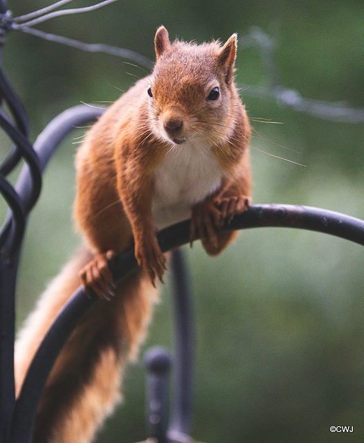 One of the youngsters checking the place out