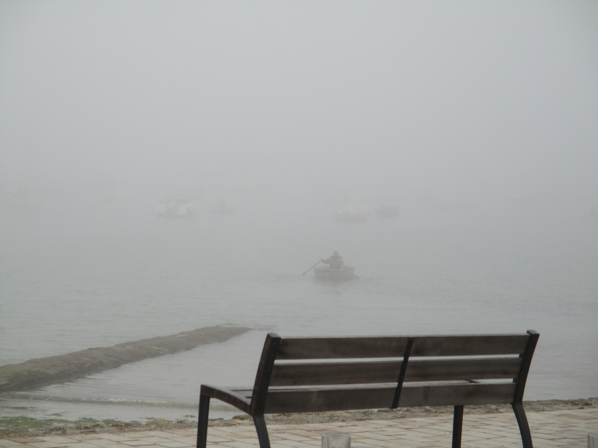 Ce matin brouillard.