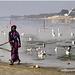 Floral Tribute to The Ganges