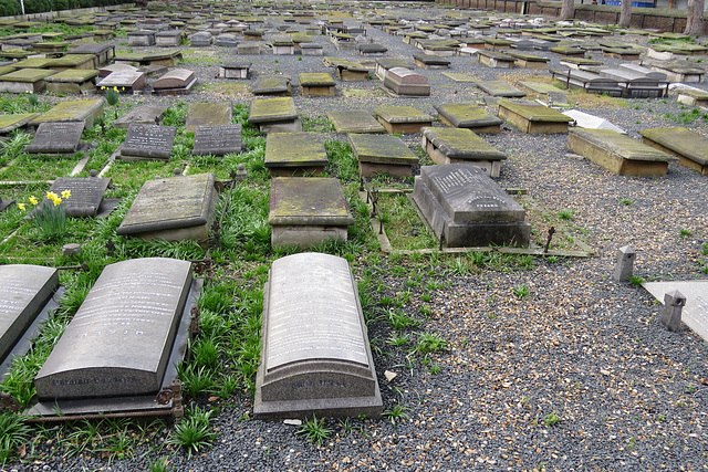 novo sephardi cemetery, mile end, london (2)