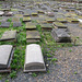 novo sephardi cemetery, mile end, london (2)