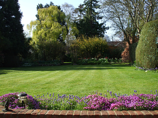 Fulbourn garden 2012-04-15 006