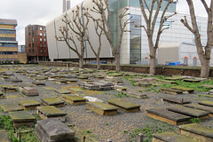 novo sephardi cemetery, mile end, london (3)