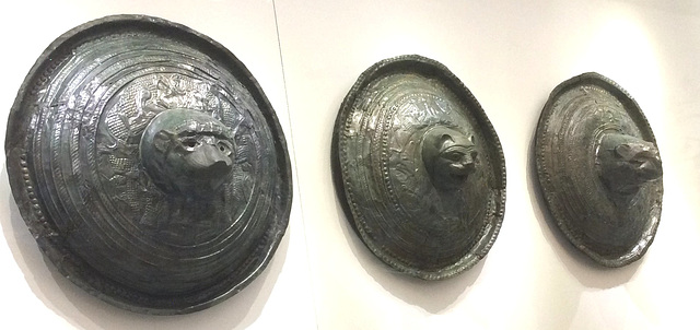 Bronze Shields