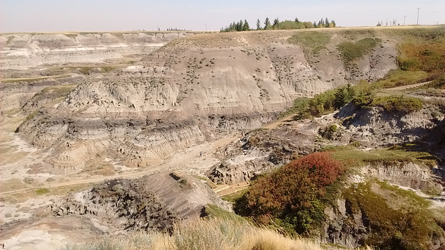 Petit canyon albertain/ Horseshoe canyon