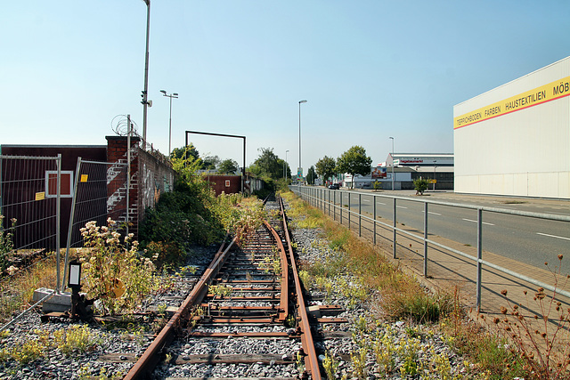 Schienen neben der Weseler Straße (Mülheim an der Ruhr) / 19.08.2018