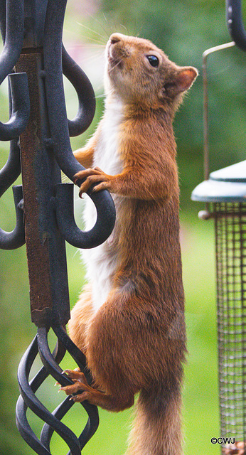 One of the youngsters checking the place out