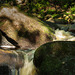 Padley Gorge