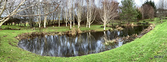 The pond is my giant mirror