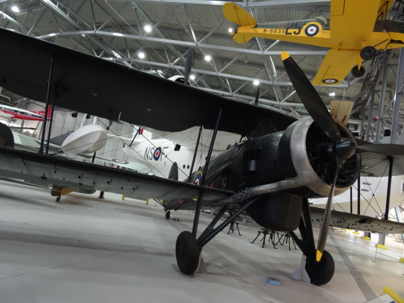 iwmdux (1036)