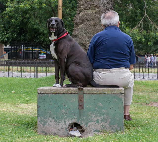 Shared Space - Buenos Aires