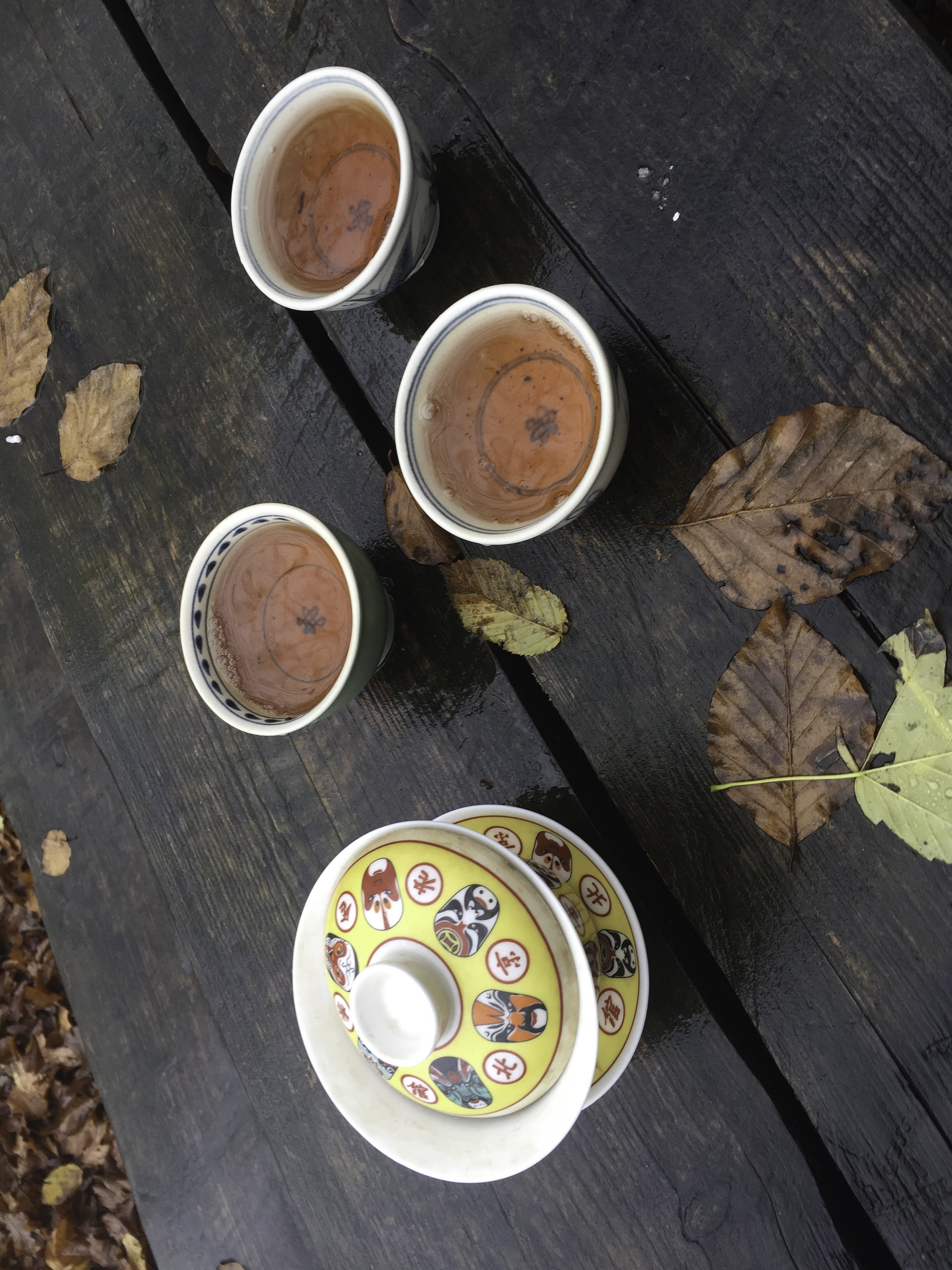 tea party in a forest