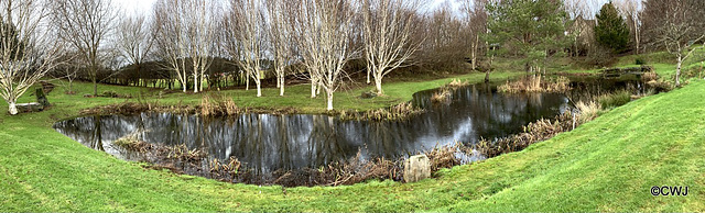 The pond is my giant mirror