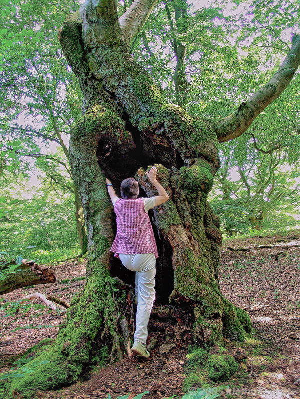 Sabine hat den Kellereingang zum Hutewald Halloh gefunden 2005