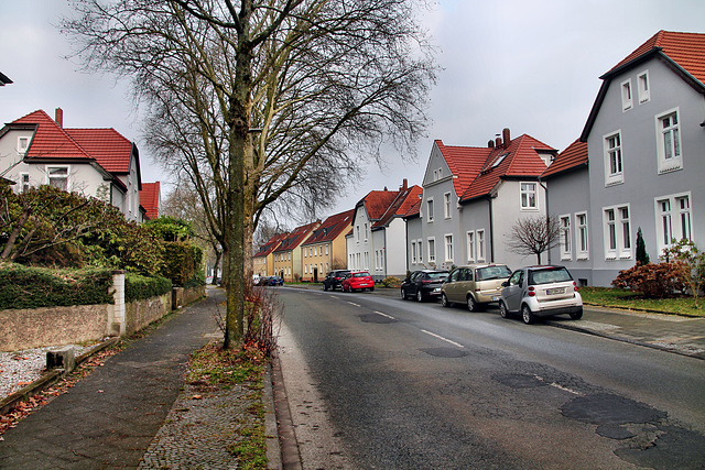 Somborner Straße (Bochum-Langendreer) / 11.02.2023