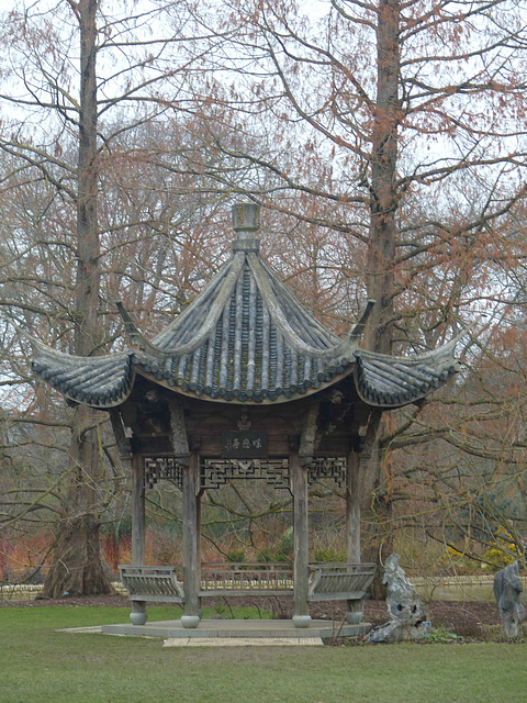 Chinese Pavilion - 21 February 2018