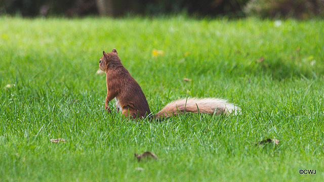 One of the youngsters checking the place out