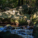 Padley Gorge