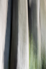 Pillars of life / Les pillers de la vie