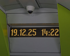 KR600044©IngoKrehl