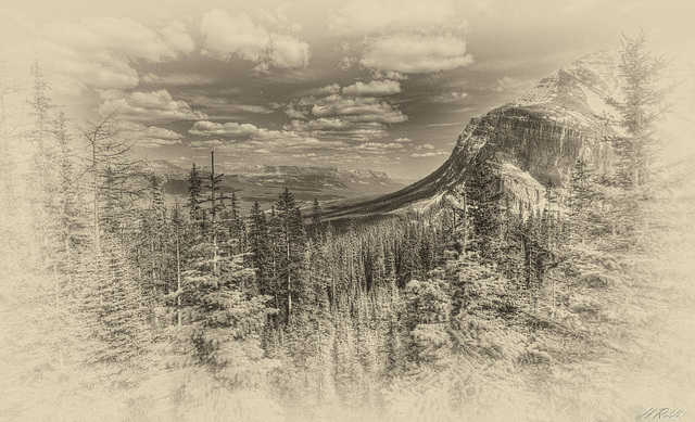 The Bow Valley and Mt Fairview