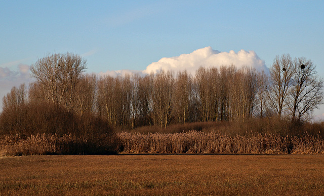 Feldlandschaft