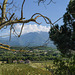 Le mont Canigou Pyrénées-Orientales Fr (4 notes)