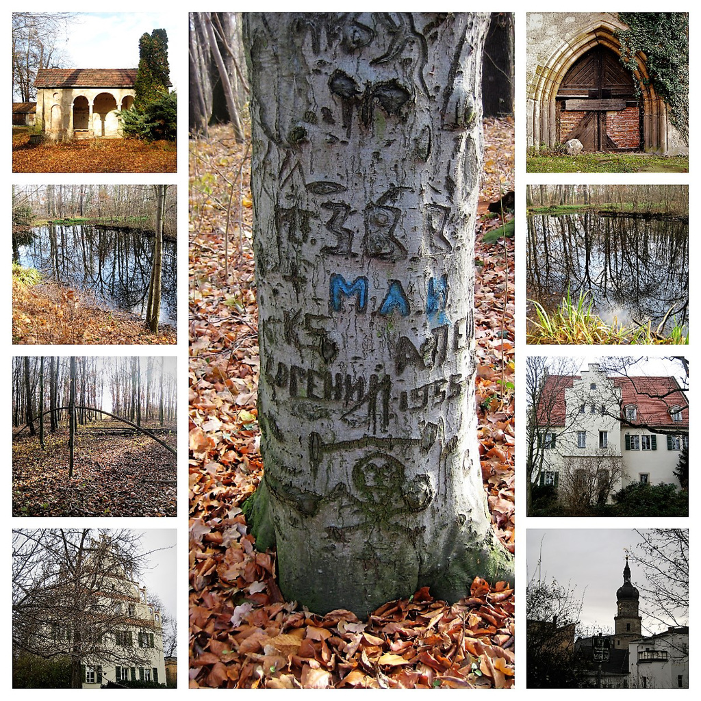 Bilder des Tages vom 10. & 11.12.2019