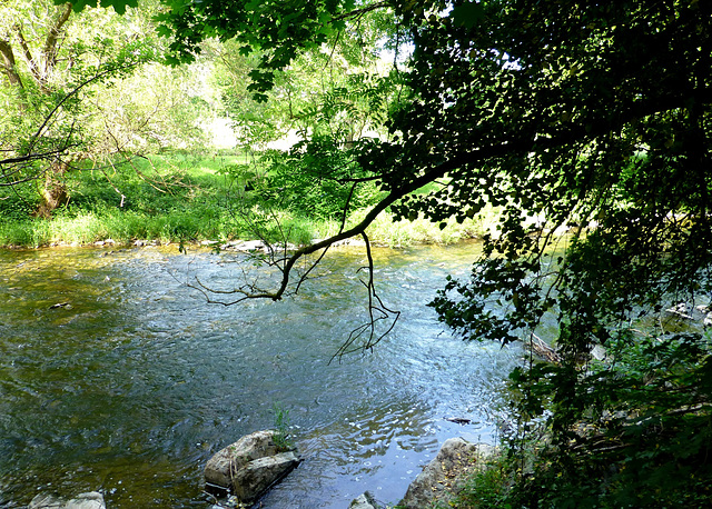 Die Ahr bei Walporzheim