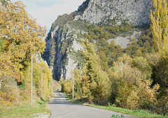 Forêt de Saou en Drôme**********