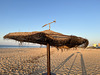 Monte Gordo, Morning on the beach