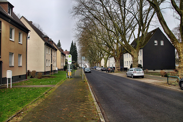 Everstalstraße (Bochum-Langendreer) / 11.02.2023