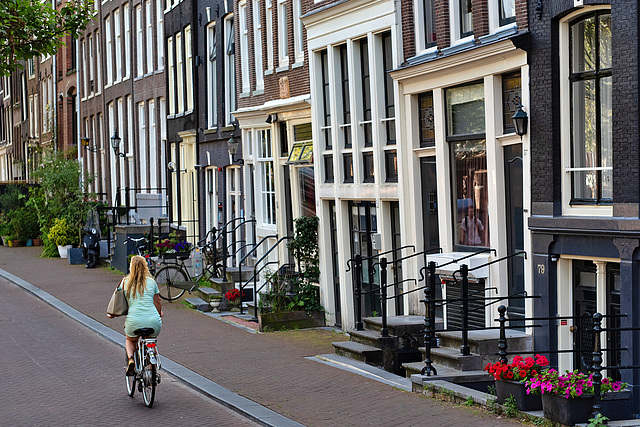 Schöne Aussicht auf die hübschen Häuser von Amsterdam