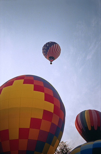 Looking Up