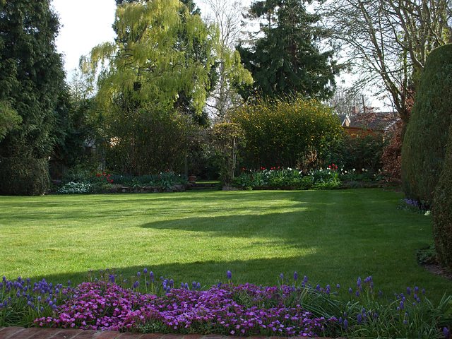 Fulbourn garden 2012-04-14 002