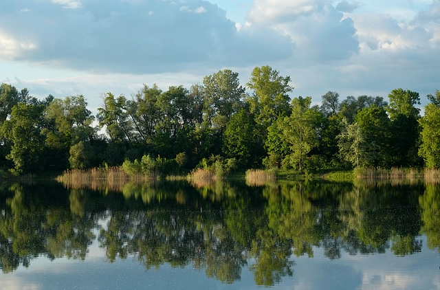 Anglersee