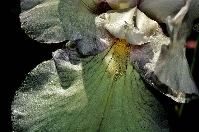 Summer just gone in Helens garden