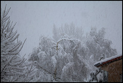 La météo du jour (26 janvier)