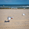 Agathe  - Pilates am Strand