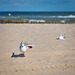 Agathe  - Pilates am Strand