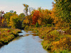 Autumn Bridges