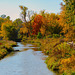 Autumn Bridges