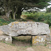 Dolmen de Kerdreux, Kerdreux, Crozon (Finistère, France)