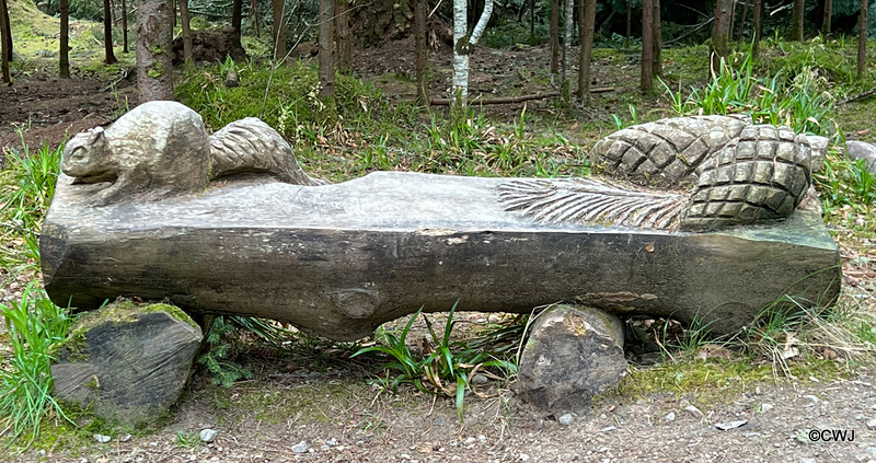 Park Bench in the Evanton Woodland